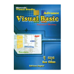 Visual Basic